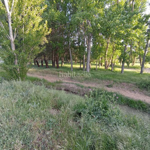 Foto b05ff9e6-06ae-4dbc-be68-f0edff8aa707. Chalet en Extrarradio Valladolid