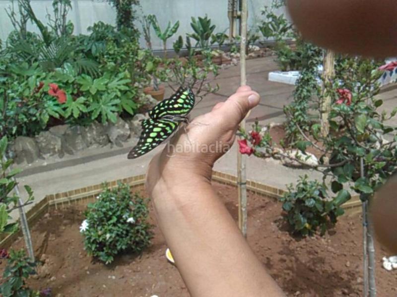 Foto 32d7521b-ef44-45a2-8a97-03d267aad30e. Chalet avec chauffage dans Nijar Pueblo Níjar