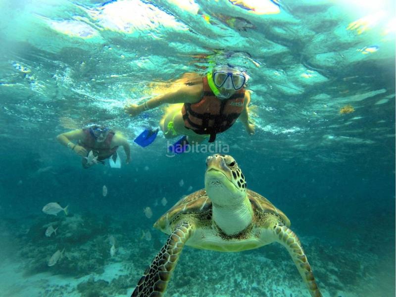 Foto caddd0e3-88ad-430d-8ce2-f96119e1714c. Chalet avec chauffage dans Nijar Pueblo Níjar