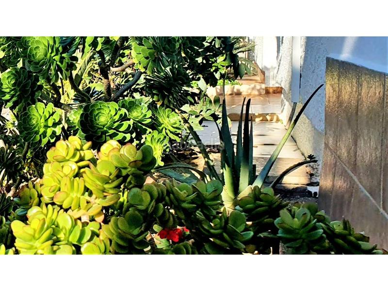 Foto 6c2d5668-8538-4526-9c77-69a1aa832a3f. Studio avec piscine dans El Sabinar-Urbanizaciones-Las Marinas-Playa Serena Roquetas de Mar