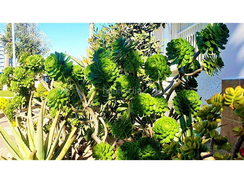 Foto ca5d099f-9cde-4395-b05e-876cd43983da. Studio avec piscine dans El Sabinar-Urbanizaciones-Las Marinas-Playa Serena Roquetas de Mar