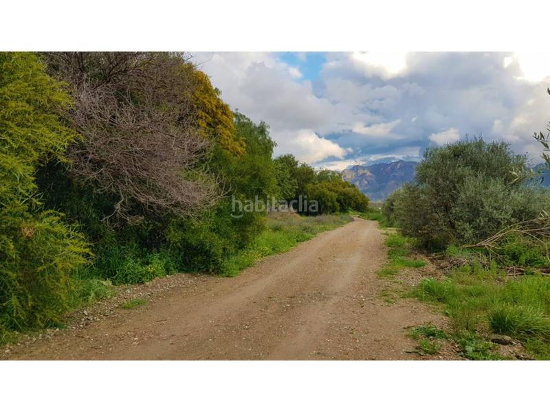Foto 5d418957-35f7-43e0-93fd-6d5128d08c77. Chalet en los martos 1 chalet rustico en venta en los gallardos, 20.000 m de terreno en Gallardos (Los)
