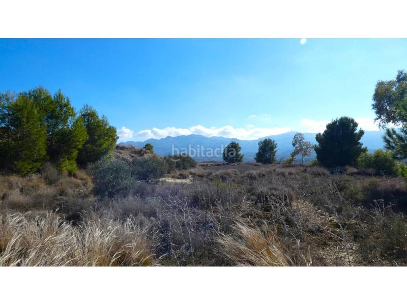 Foto 612706b1-a167-45ff-9b2c-e7c999db308c. Chalet en los martos 1 chalet rustico en venta en los gallardos, 20.000 m de terreno en Gallardos (Los)