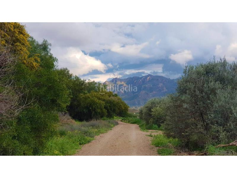 Foto 817755b6-e4d0-42a8-82d6-f495bf9307cf. Chalet en los martos 1 chalet rustico en venta en los gallardos, 20.000 m de terreno en Gallardos (Los)