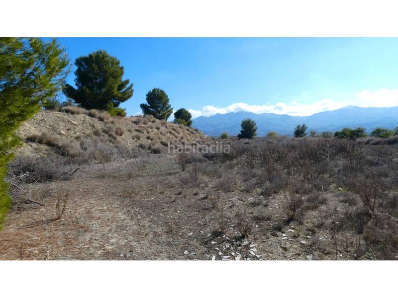 Foto 8bb9a029-8e40-48da-ac79-1d36a7afc24c. Chalet en los martos 1 chalet rustico en venta en los gallardos, 20.000 m de terreno en Gallardos (Los)