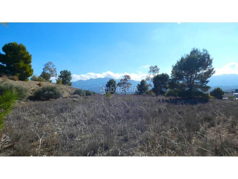 Foto 92331d34-2984-4d1f-a820-e932a412ba1d. Chalet en los martos 1 chalet rustico en venta en los gallardos, 20.000 m de terreno en Gallardos (Los)