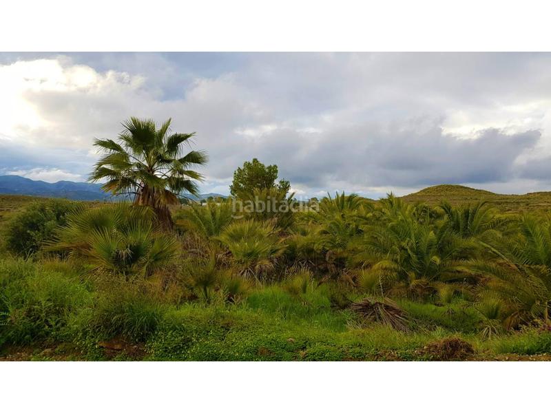 Foto d4f73fd7-8a37-445b-83a3-8244328ca6eb. Chalet en los martos 1 chalet rustico en venta en los gallardos, 20.000 m de terreno en Gallardos (Los)