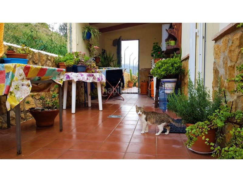 Foto e08a18fa-d350-492f-80a4-057daeab913b. Chalet en los martos 1 chalet rustico en venta en los gallardos, 20.000 m de terreno en Gallardos (Los)
