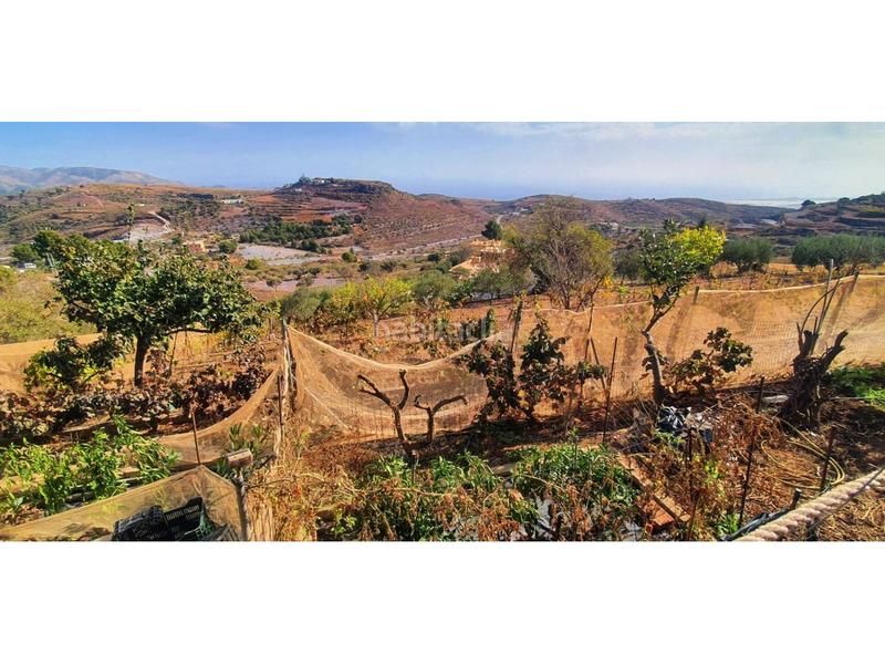 Foto aa5e0de7-eafa-44e9-b0e3-c1b582788bce. Casa cortijo con vistas infinitas , 4.500 m en Felix