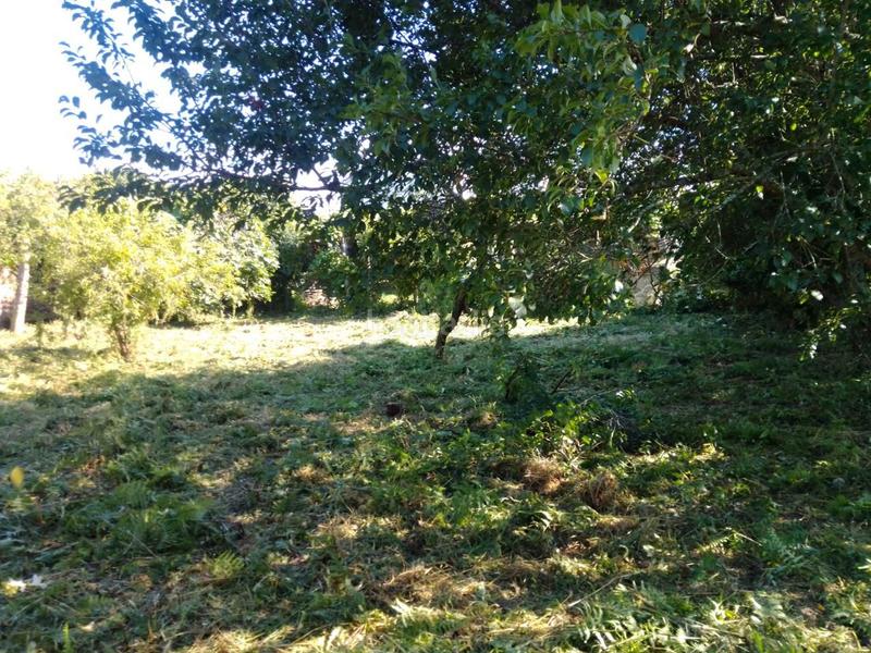 Foto 03ec04bc-96d9-4cee-9a43-f3cffd2e1354. Mas dans Brión