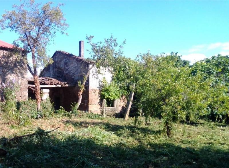 Foto 6ae65cdb-5765-44ac-aa6e-d0450a7ff65b. Mas dans Brión