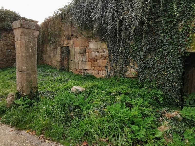 Foto adb3b754-93da-4edb-8c61-12365cffbfdc. Mas dans Brión