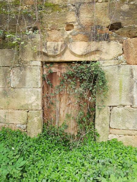 Foto ce0e7511-6a9f-44c6-9311-4ad3953f3884. Mas dans Brión