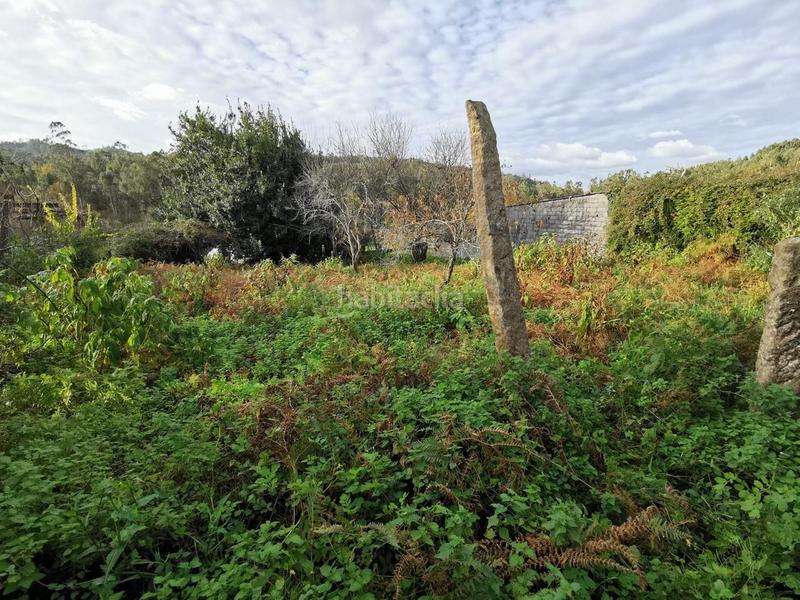 Foto f58387e2-c07f-4ac8-853e-5bb0931442cd. Mas dans Brión