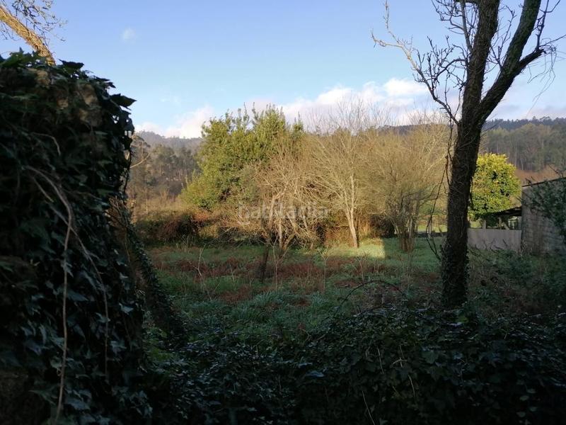 Foto f8967481-3b0b-4e4d-9d15-b29a95b1ade0. Mas dans Brión