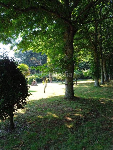 Foto c1577765-11e1-40a5-81b3-dff899914607. Masia a Touro