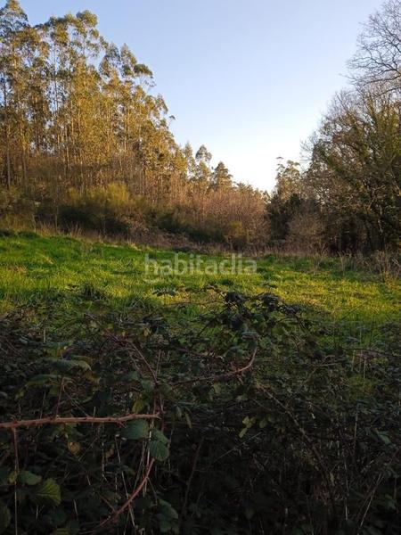 Foto 2a70fb2d-a101-4922-b487-3b6455c053d8. Terrain résidentiel dans Brión