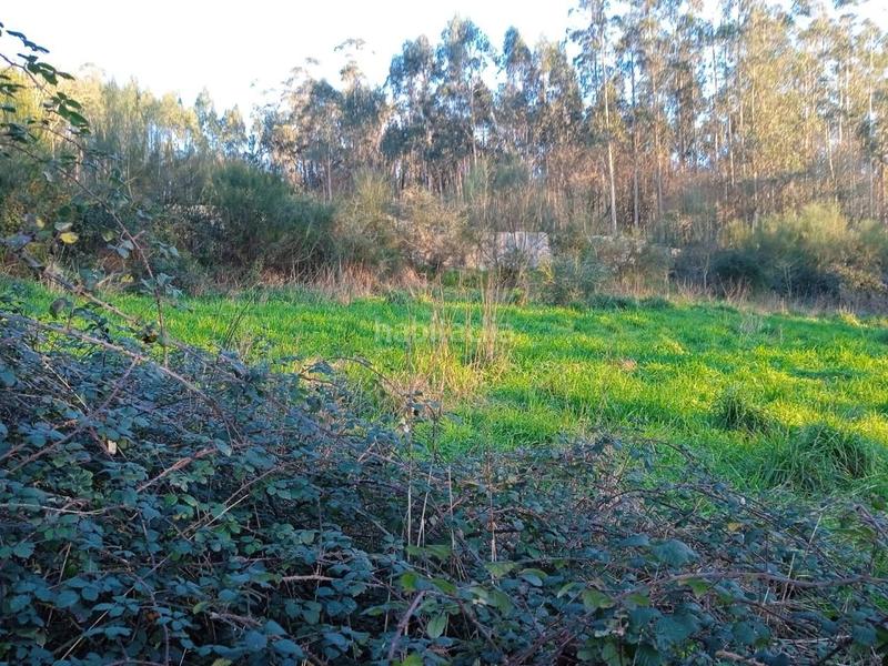 Foto 52609b4a-9a45-42d4-93f2-6e1838bcda95. Terrain résidentiel dans Brión