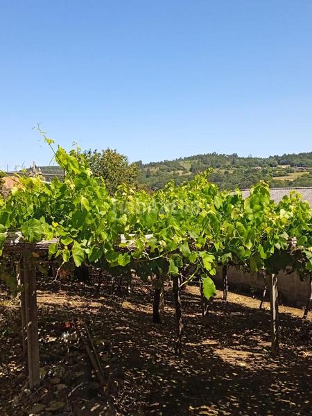 Foto 83f144b0-6e56-4986-bbd2-8ed412061245. Bauernhof in Parroquias de Santiago Santiago de Compostela