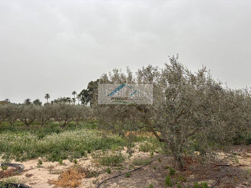 Foto 739220d4-89de-4b54-89c8-ae5d512d5af3. Casa a La Algoda - Matola - Llano de San José Elche / Elx