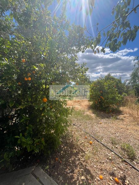 Foto 4d3a39b0-e913-4800-9f20-74e580669089. Casa amb aparcament piscina a Albatera