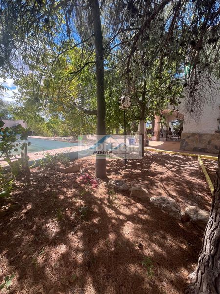 Foto abedfe57-ab68-4c44-bc4c-02056050e4f6. Casa amb aparcament piscina a Albatera