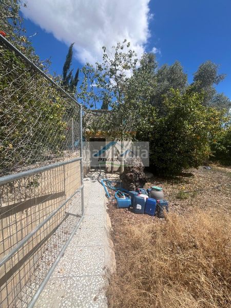 Foto b0c5cf49-0f49-400f-a496-da7c53124c64. Casa amb aparcament piscina a Albatera