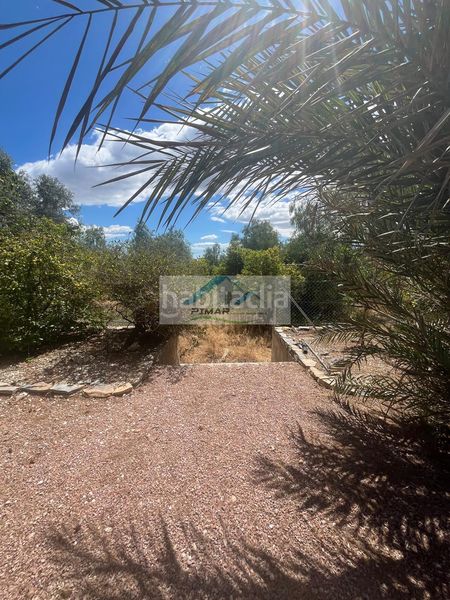 Foto ef5bc4e7-9bfa-46ad-9044-28d6bc5576ca. Casa amb aparcament piscina a Albatera