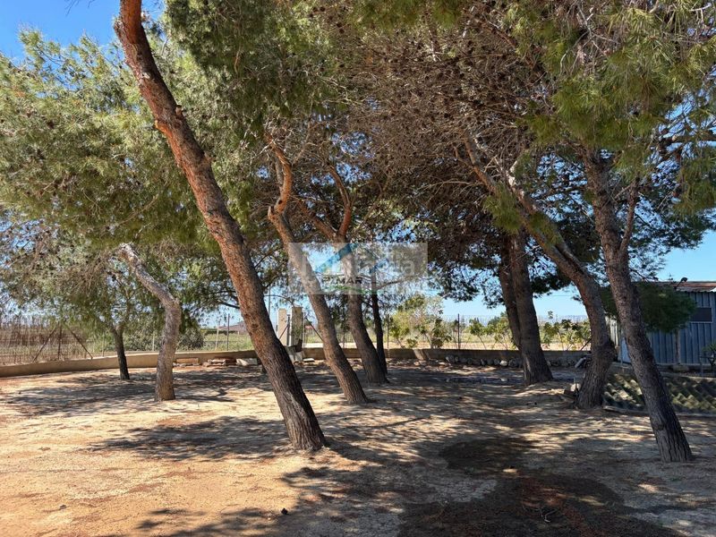 Foto 1485143e-c794-4057-a659-efccbbb82558. Xalet amb calefacció aparcament piscina a Torrellano Elche / Elx