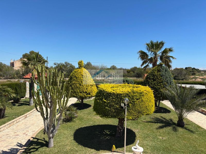 Foto 16267aee-a422-49ea-8fd9-fbe6a727aa9d. Xalet amb calefacció aparcament piscina a Torrellano Elche / Elx