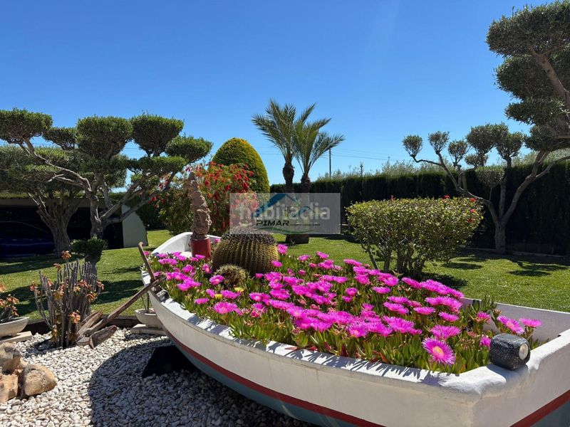 Foto 166f8db9-3c0c-4354-b6aa-aabf5705958c. Xalet amb calefacció aparcament piscina a Torrellano Elche / Elx