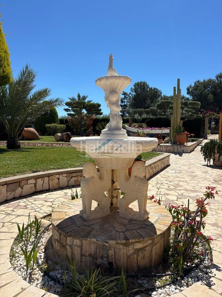 Foto 43fa6734-0a05-4704-9556-941b3d08a1ac. Xalet amb calefacció aparcament piscina a Torrellano Elche / Elx