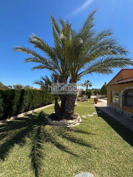 Foto 5a33c0e3-5a6b-44b7-b1d0-0503dc645bcf. Xalet amb calefacció aparcament piscina a Torrellano Elche / Elx