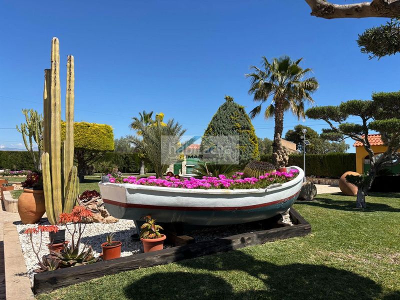 Foto 7dbc38ef-2847-4991-9b14-1cc8f7cd9b1f. Xalet amb calefacció aparcament piscina a Torrellano Elche / Elx