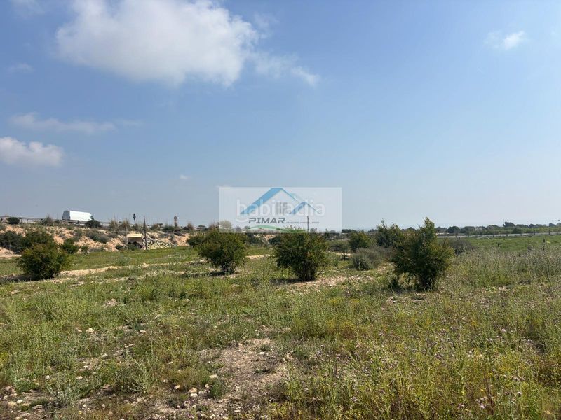 Foto 15372fb3-8a5a-449d-b827-0c6ce17aa570. Terreny residencial a La Marina Elche / Elx