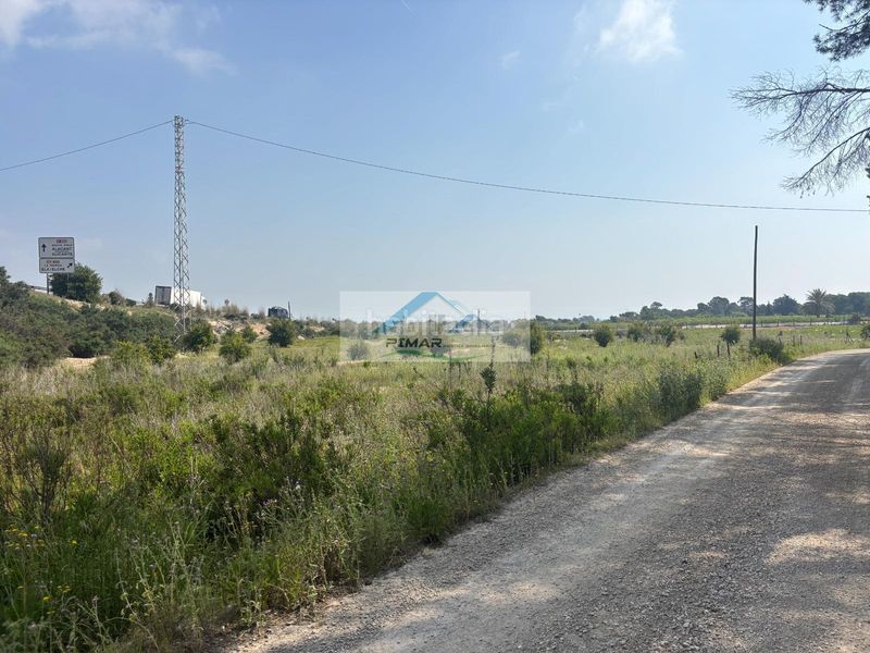 Foto 55dc0ee9-11ed-42a8-bc7e-5676f1e54722. Terreny residencial a La Marina Elche / Elx