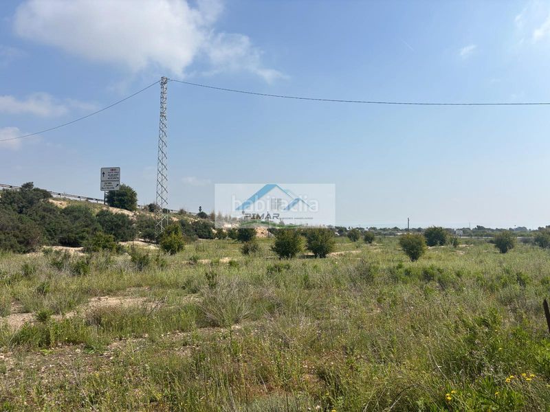 Foto a5de312e-15b3-49fe-b137-07a36c22ef37. Terreny residencial a La Marina Elche / Elx