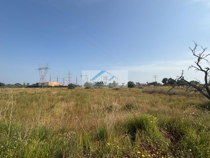 Foto f2d8e95c-f481-4333-82b7-feab6f185201. Terreny residencial a Perleta - Maitino Elche / Elx