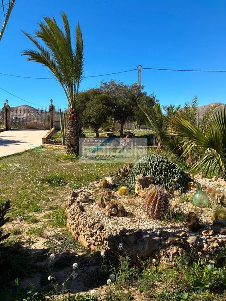 Foto 540fe87d-c904-4003-8966-7cdaaaf852c8. Xalet amb calefacció piscina a Pedanías Este Aspe
