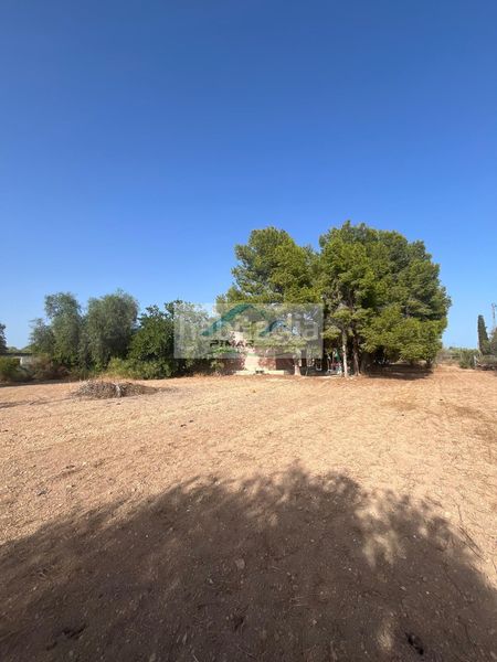 Foto 66bf0909-8270-42c3-8522-6ec9f03997d0. Casa amb calefacció piscina a La Algoda - Matola - Llano de San José Elche / Elx