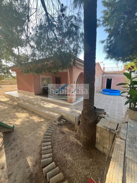 Foto 7f60ea87-77d3-4429-b333-659f48e37505. Casa amb calefacció piscina a La Algoda - Matola - Llano de San José Elche / Elx