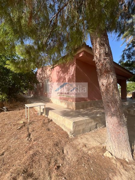 Foto 897f6fdf-da78-43b6-9a1e-16f42c9b6265. Casa amb calefacció piscina a La Algoda - Matola - Llano de San José Elche / Elx