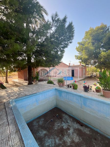 Foto ea4a10a6-9b7e-41bc-a2bb-1182aeba0054. Casa amb calefacció piscina a La Algoda - Matola - Llano de San José Elche / Elx