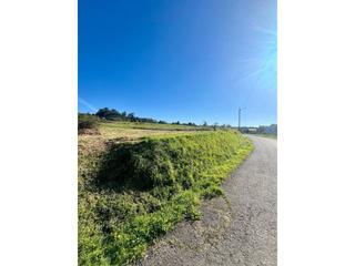 Terrain résidentiel  Lugar ansimonde. Venta de terreno urbano en bemantes ( miño)
