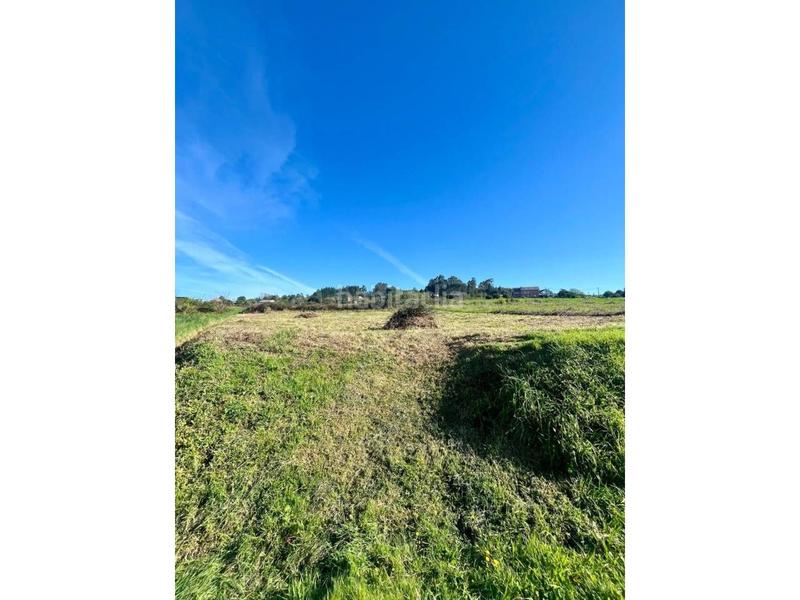 Foto f6107fd9-93c1-487e-b490-f651eab67126. Terreny residencial a Miño