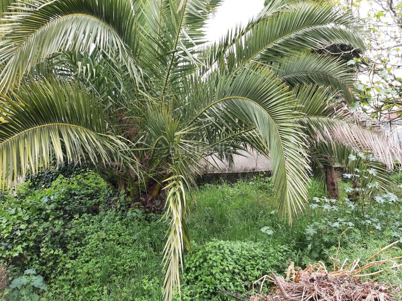 Foto 27c601f6-d46e-4087-9db7-87939aaada1e. Casa a Neda