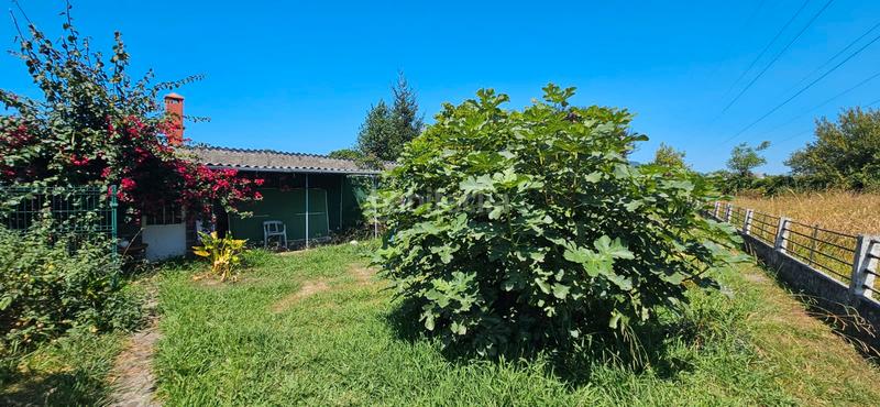 Foto dddaa92f-bee4-46a8-bc65-b66d11ff1db2. Casa  con 2 viviendas y finca en Piñeiros - Freixeiro Narón