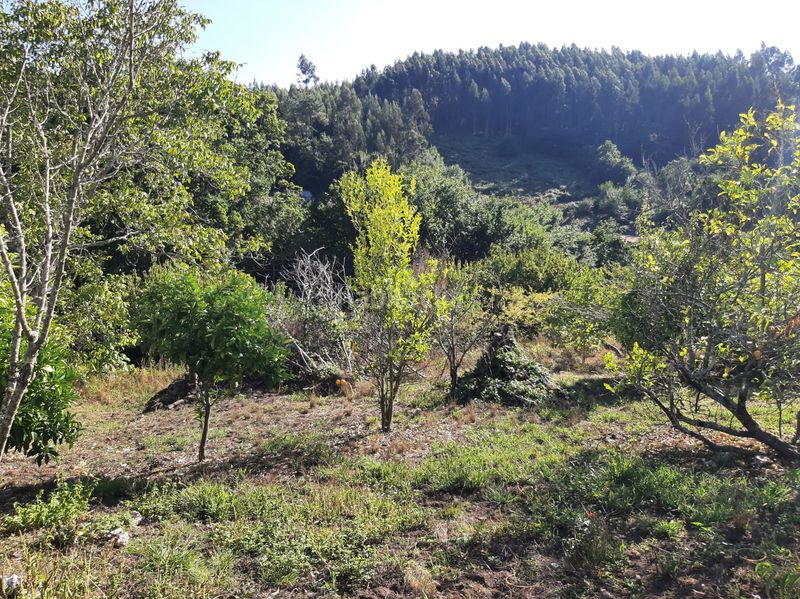Foto 0fa9f349-6601-447b-9062-f3826cfda4cd. Casa  con finca en A Malata - Catabois - Ciudad Jardín Ferrol