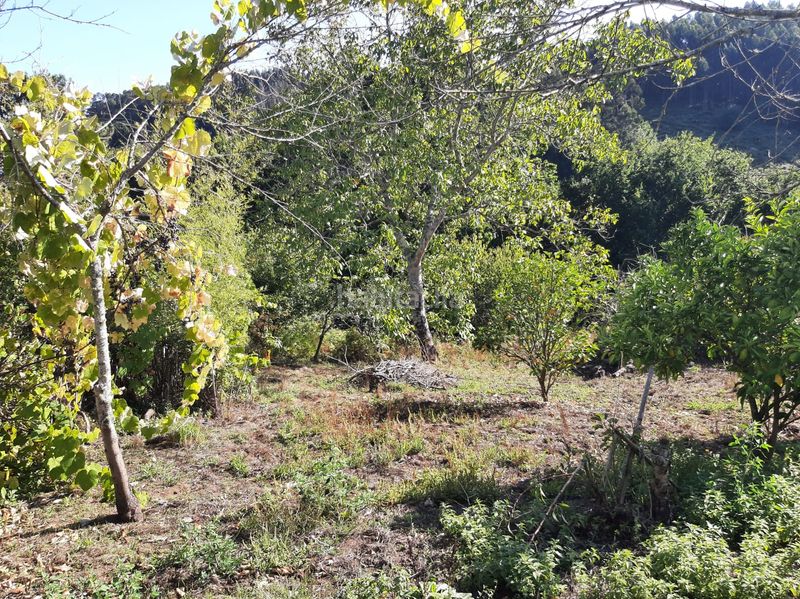 Foto f2b44040-c58a-4f61-ae5b-05961da311c8. Casa  con finca en A Malata - Catabois - Ciudad Jardín Ferrol