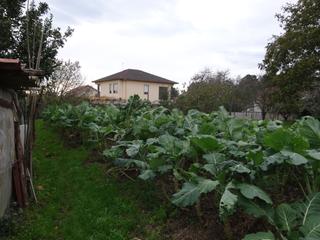 Maison à Piñeiros - Freixeiro. Casa con finca